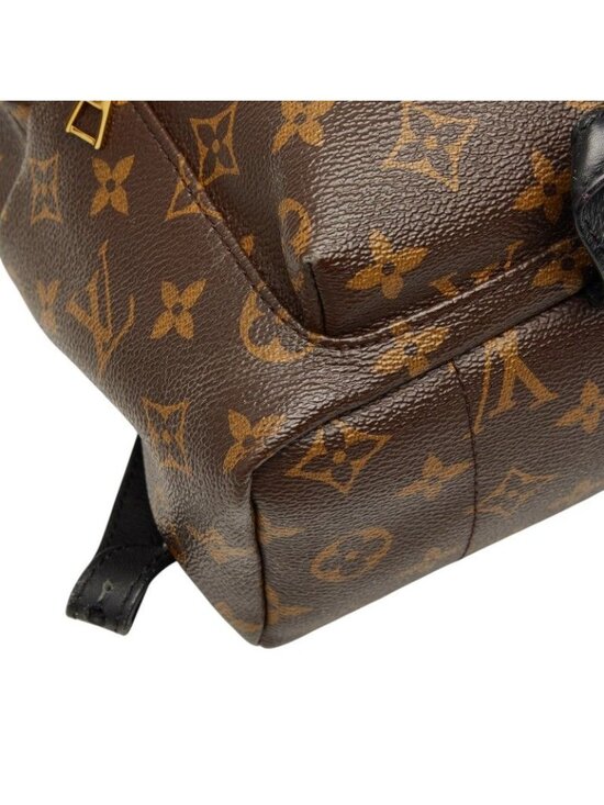 Louis Vuitton Monogram Palm Springs PM Backpack Brown Black Leather main image 6